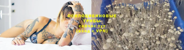сатива Тында