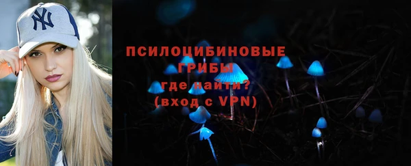 сатива Тында